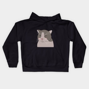 Smiling cat filter Kids Hoodie